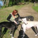 Greyhoundica Missy; 10.6.2014