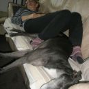 Greyhoundica Missy; 10.6.2014