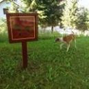 Galga Ali (ex Alicia); 11.6.2014