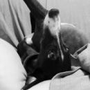 Galga Star; 10.6.2014