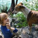 Galga Gina; 10.6.2014