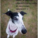 OBJEM TOPLINE