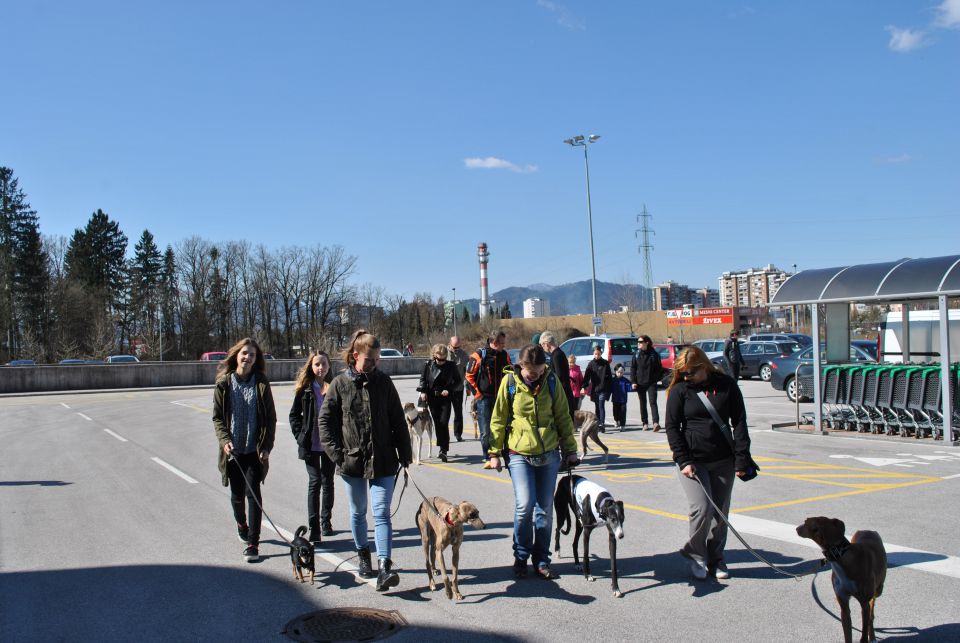 Hrtji sprehod v Kranju, 28. marec 2015 - foto povečava