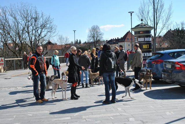 Hrtji sprehod v Kranju, 28. marec 2015 - foto