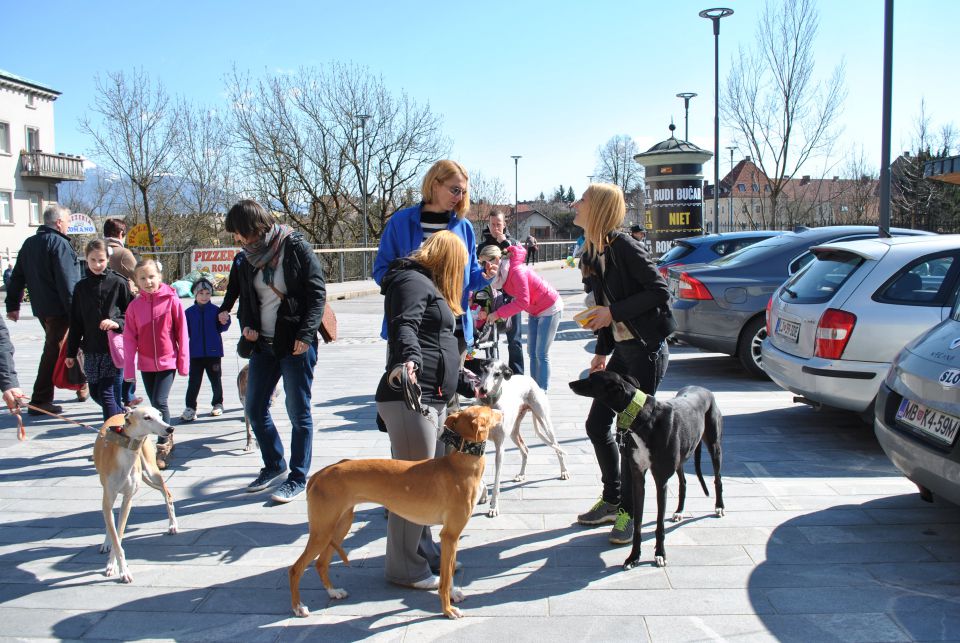 Hrtji sprehod v Kranju, 28. marec 2015 - foto povečava