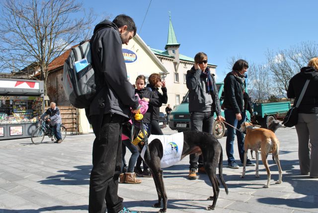 Hrtji sprehod v Kranju, 28. marec 2015 - foto
