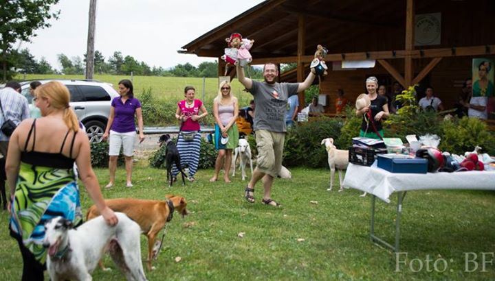 Piknik Hrtjisvet - 14.06.2015 - foto povečava