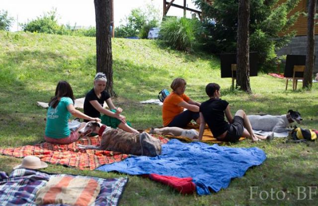 Piknik Hrtjisvet - 14.06.2015 - foto