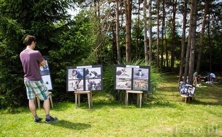 Piknik Hrtjisvet - 14.06.2015 - foto povečava