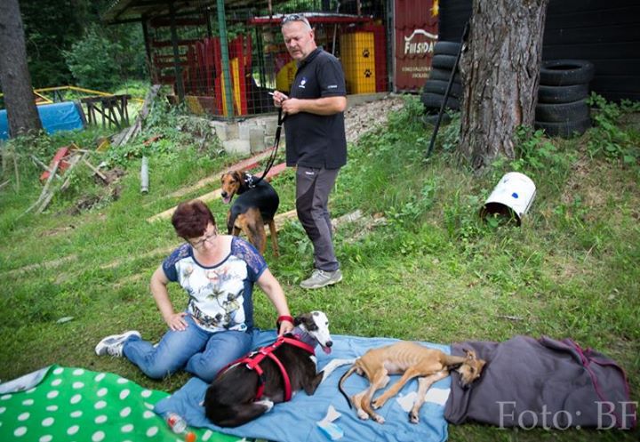 Piknik Hrtjisvet - 14.06.2015 - foto povečava