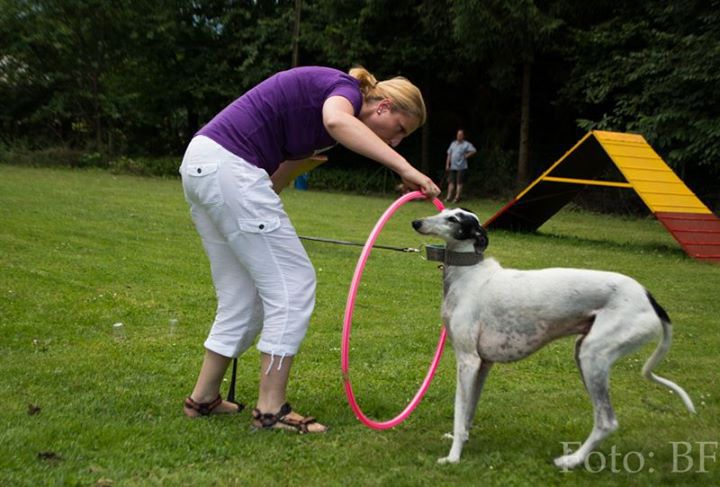 Piknik Hrtjisvet - 14.06.2015 - foto povečava