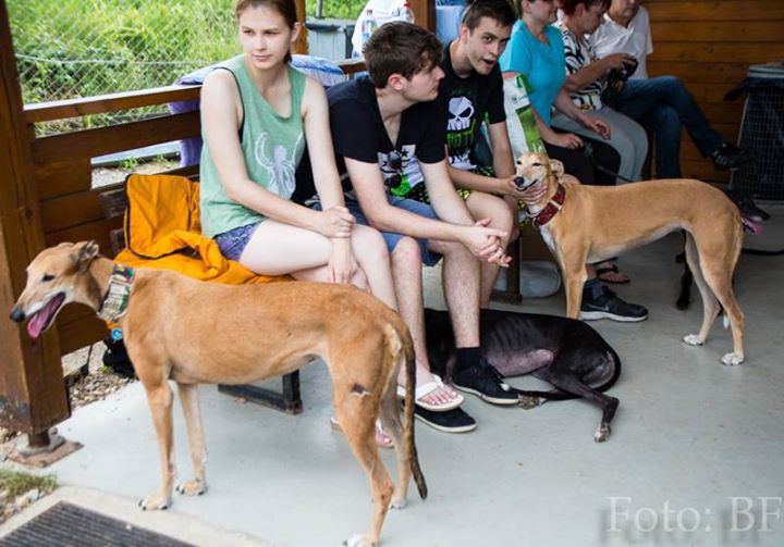 Piknik Hrtjisvet - 14.06.2015 - foto povečava