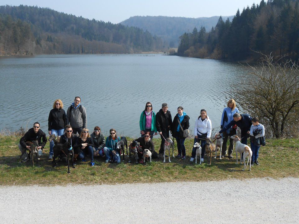 Dogodki - foto povečava