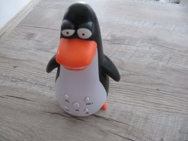 Pingvin poldi - foto povečava