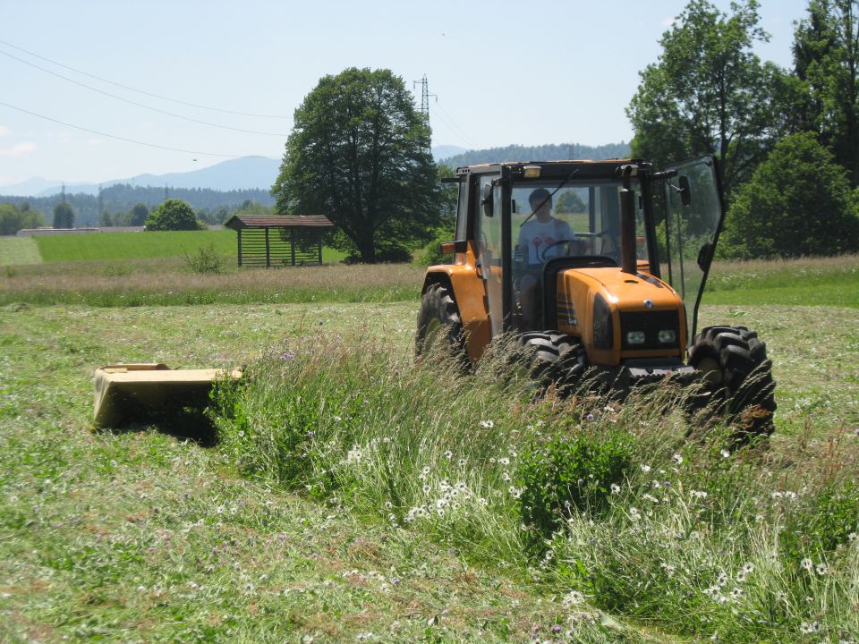 Košnja 2010 - foto povečava