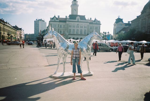 Katarina novi sad - foto