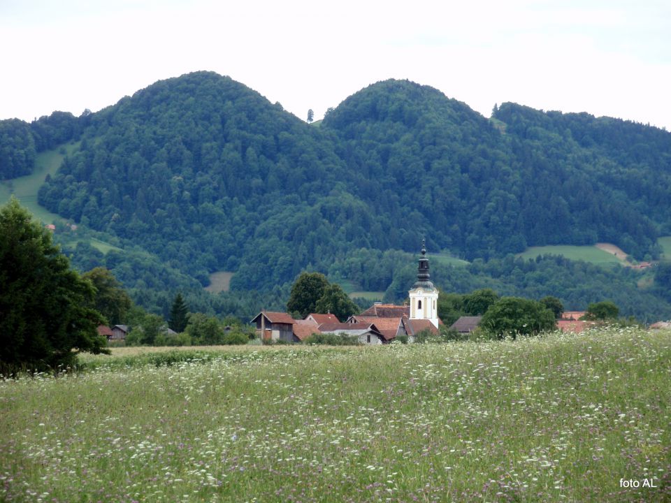 2010-jul-17&18 - foto povečava