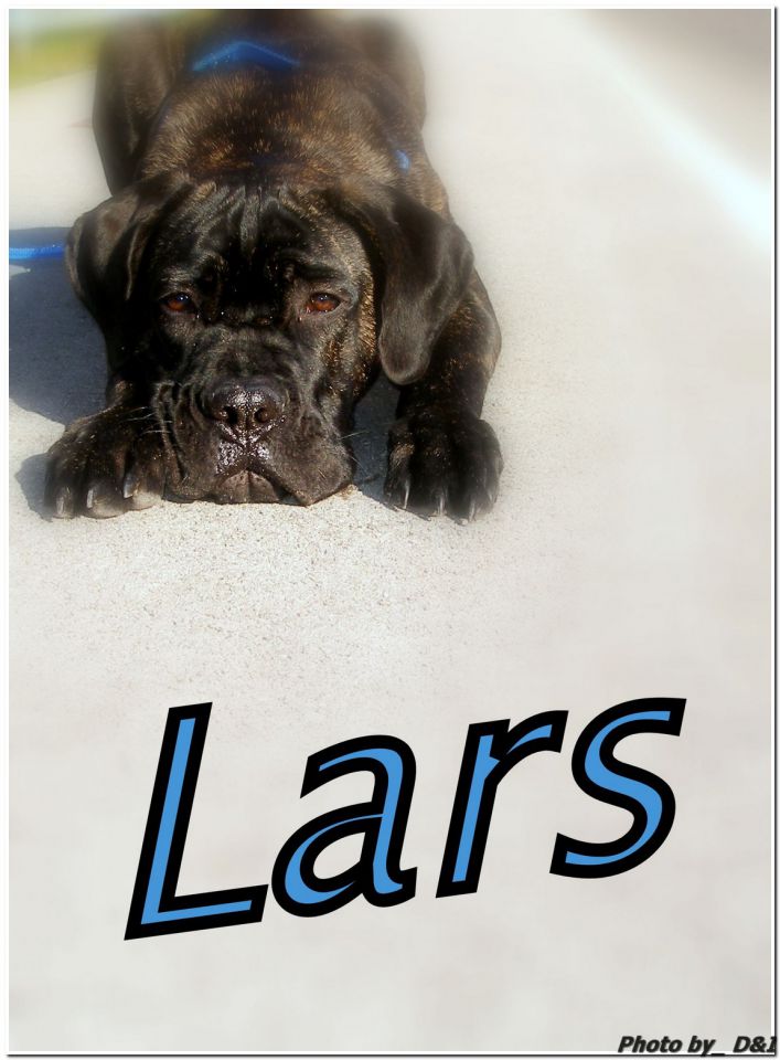 Lars - foto povečava