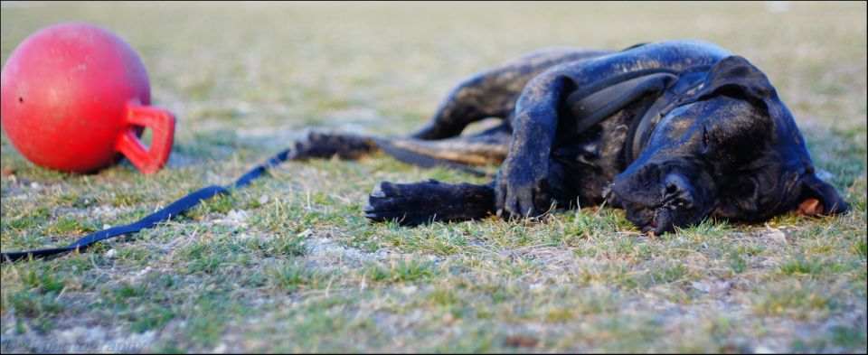 Lars_sprehod_igra - foto povečava