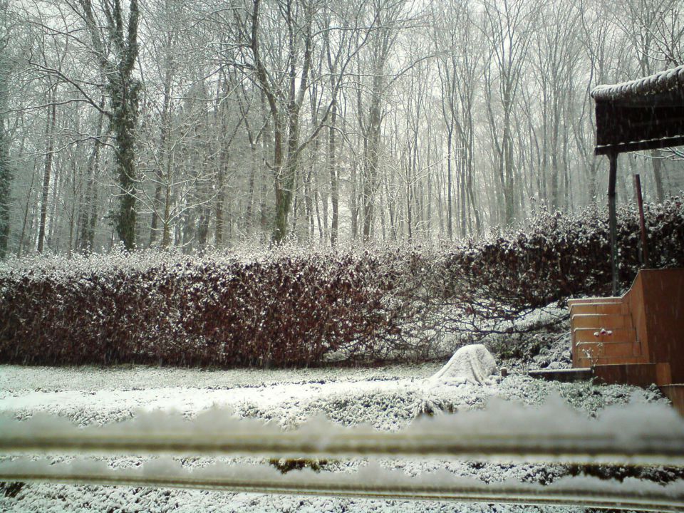 Prvi sneg november 2010 - foto povečava