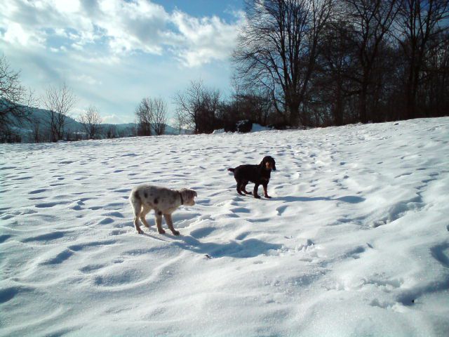 Miša in brina 2010 ... - foto