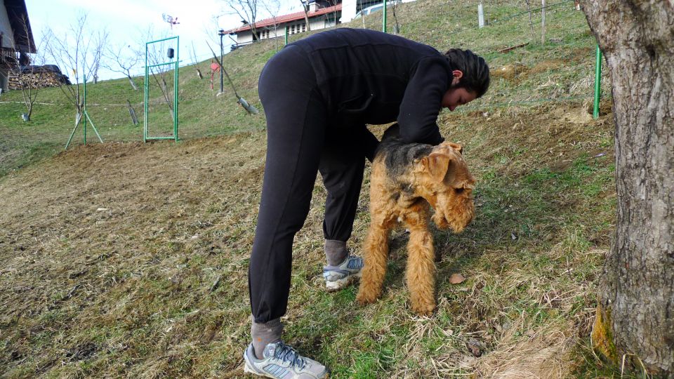 Mali princ in njegova zverina - foto povečava