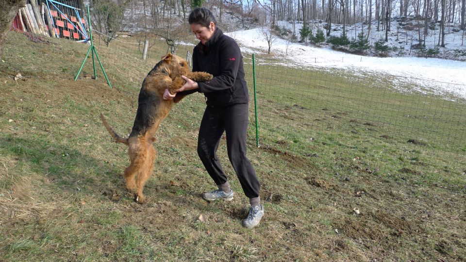 Mali princ in njegova zverina - foto povečava