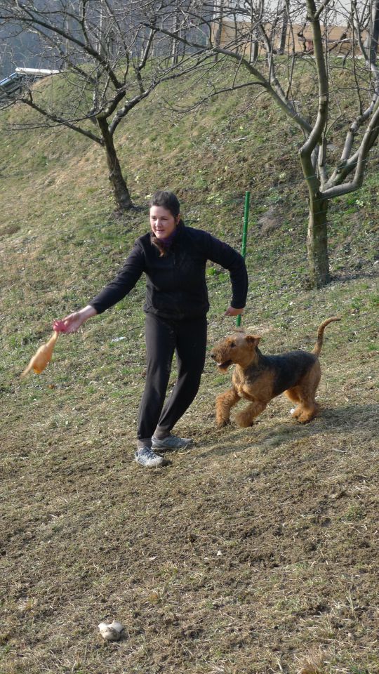 Mali princ in njegova zverina - foto povečava