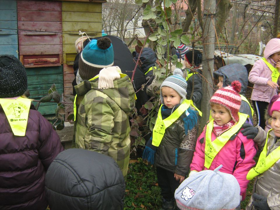 Zelena igralnica 2011/12 - foto povečava