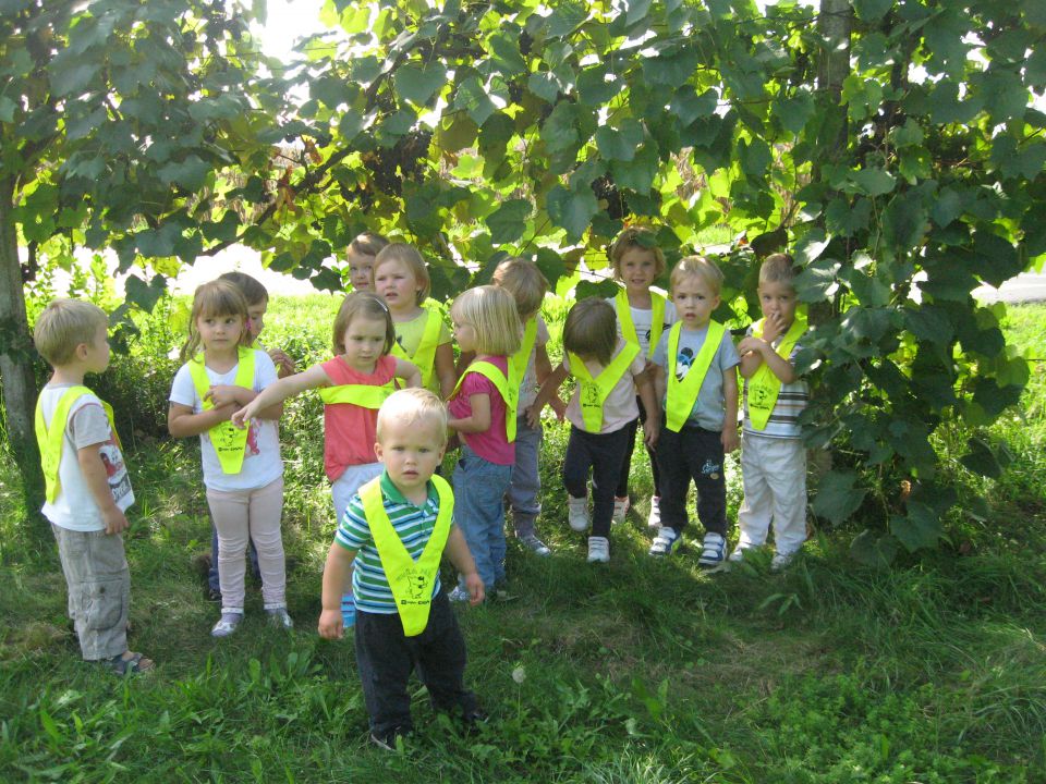 ZELENA IGRALNICA, september 2013 - foto povečava