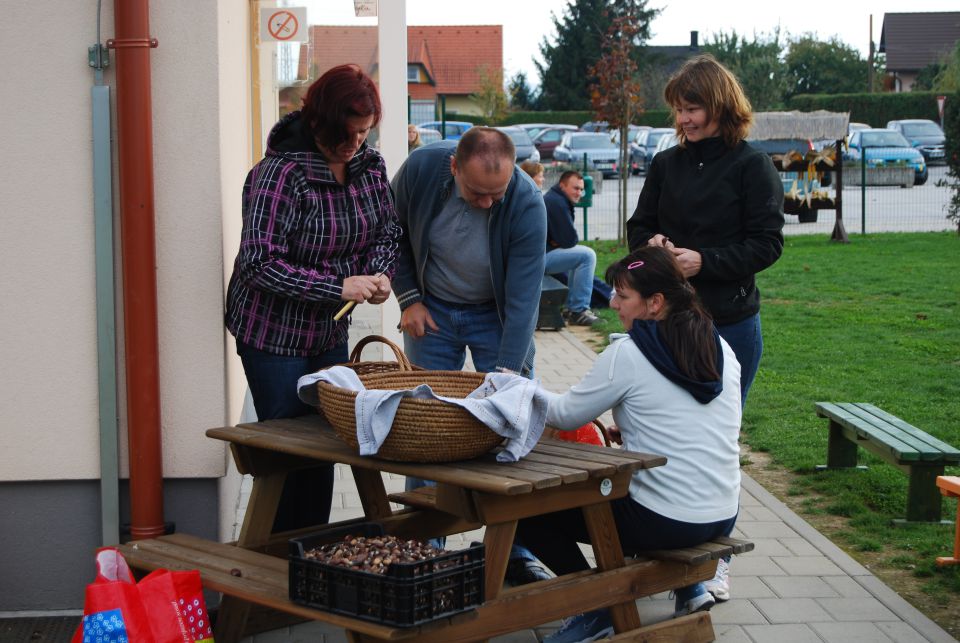 Kostanjev piknik, oktober 2013 - foto povečava