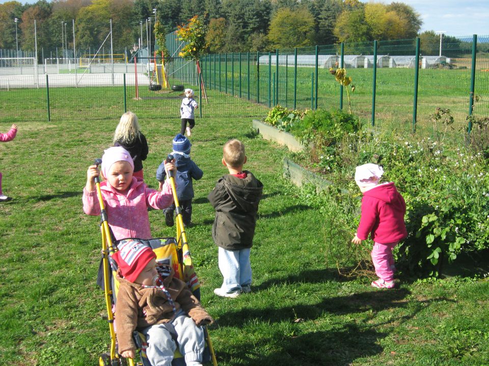 Zelena igralnica, oktober 2013 - foto povečava