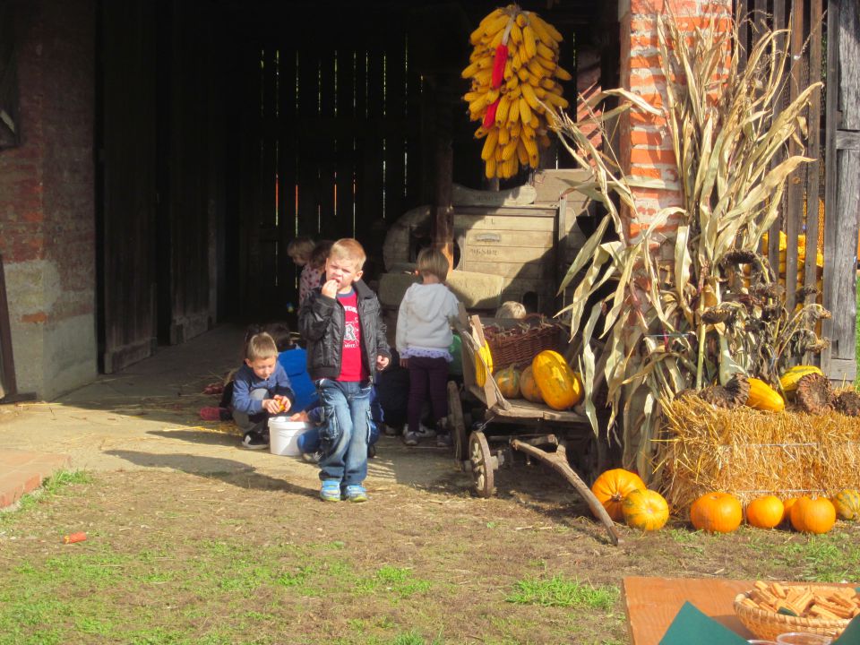 Rdeča igralnica, oktober 2013 - 2.del - foto povečava