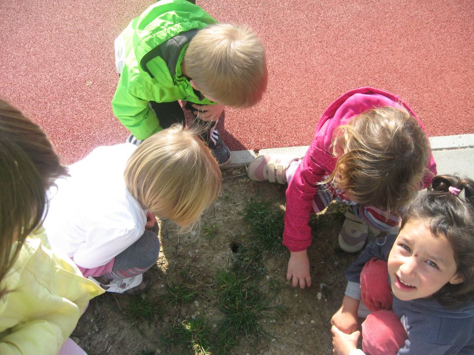 Zelena igralnica, marec 2014 - foto povečava