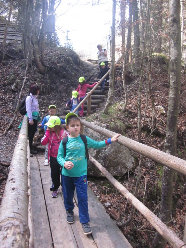 Logarska dolina, tabor, april 2014 - foto povečava