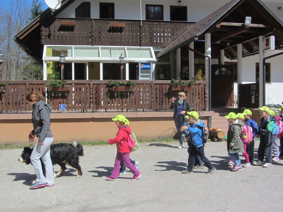 Logarska dolina, tabor, april 2014 - foto povečava