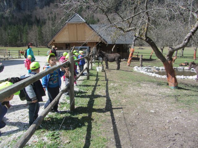 Logarska dolina, tabor, april 2014 - foto