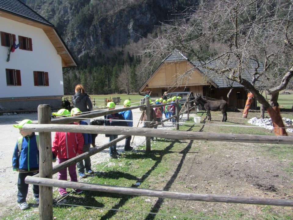 Logarska dolina, tabor, april 2014 - foto povečava