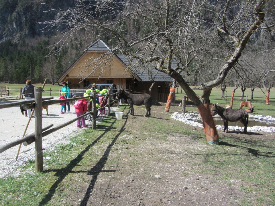 Logarska dolina, tabor, april 2014 - foto povečava