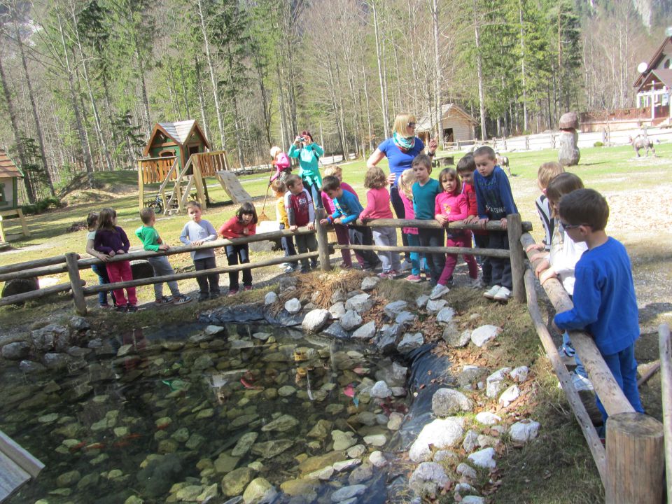 Logarska dolina, tabor, april 2014 - foto povečava