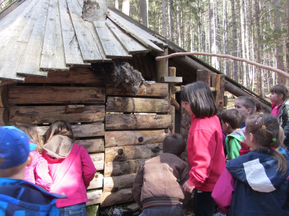 Logarska dolina, tabor, april 2014 - foto povečava