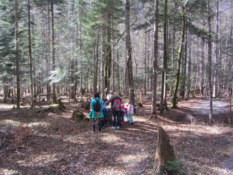 Logarska dolina, tabor, april 2014 - foto povečava