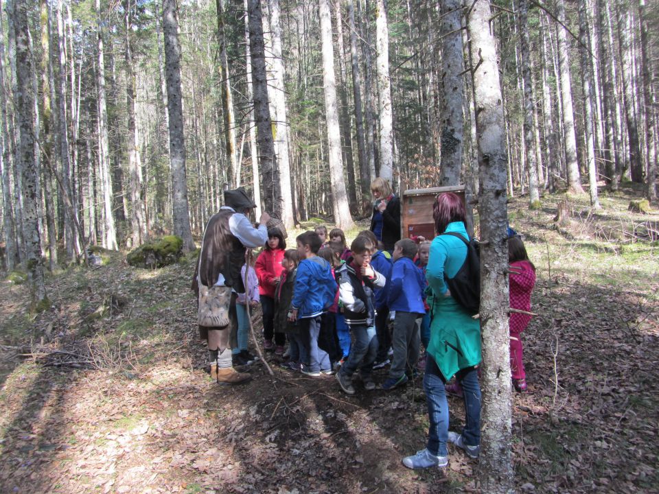 Logarska dolina, tabor, april 2014 - foto povečava