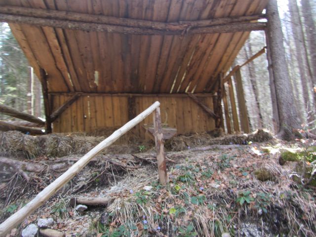 Logarska dolina, tabor, april 2014 - foto