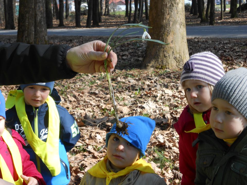 Modra igralnica, marec 2014 - foto povečava