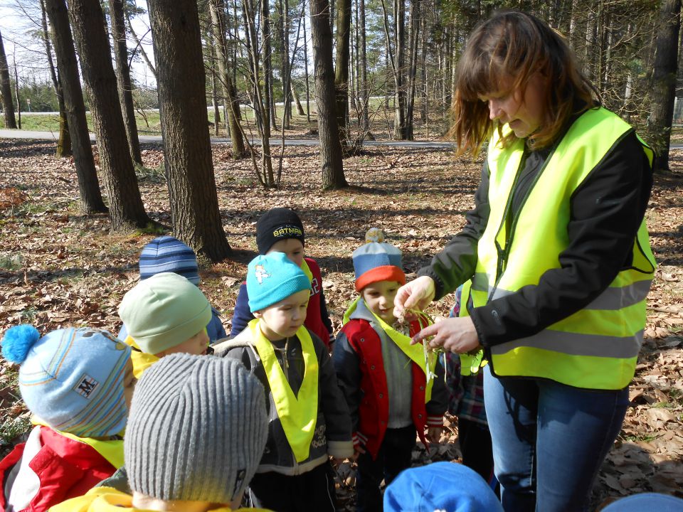 Modra igralnica, marec 2014 - foto povečava