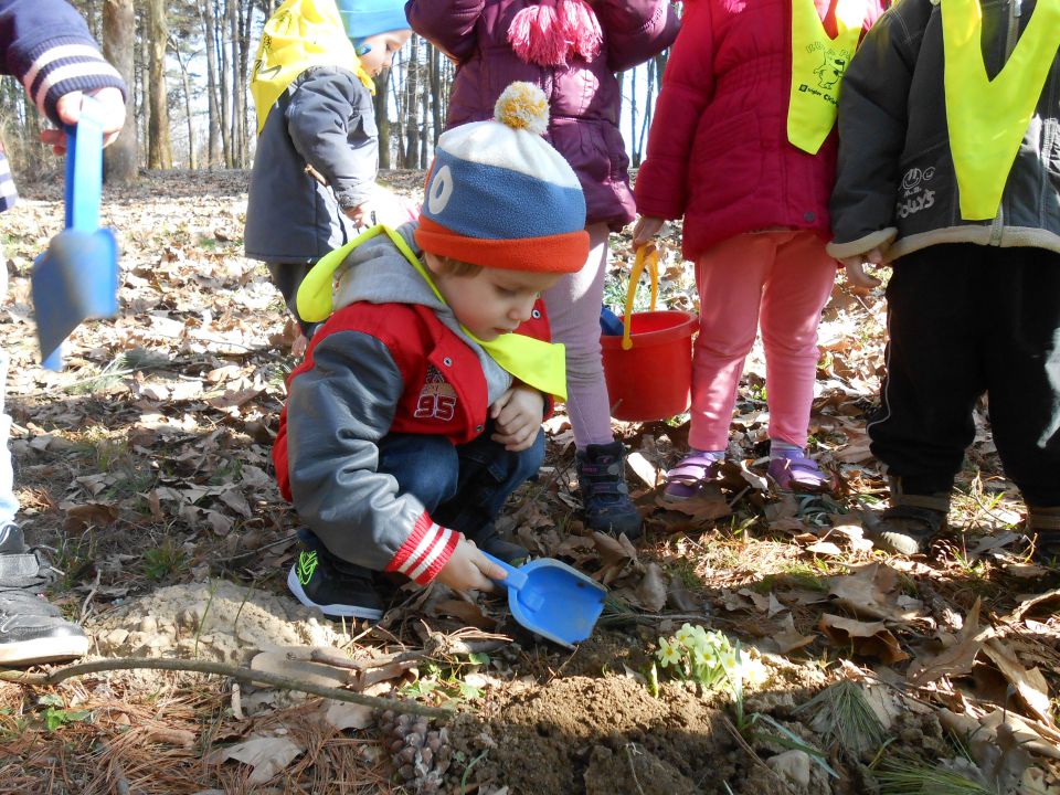 Modra igralnica, marec 2014 - foto povečava