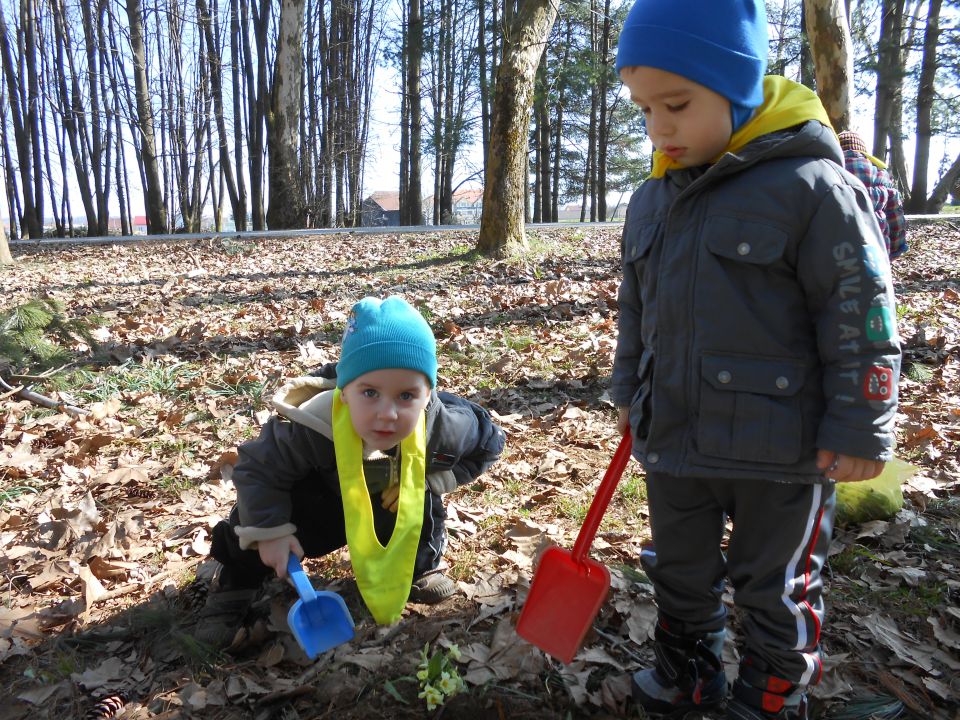 Modra igralnica, marec 2014 - foto povečava