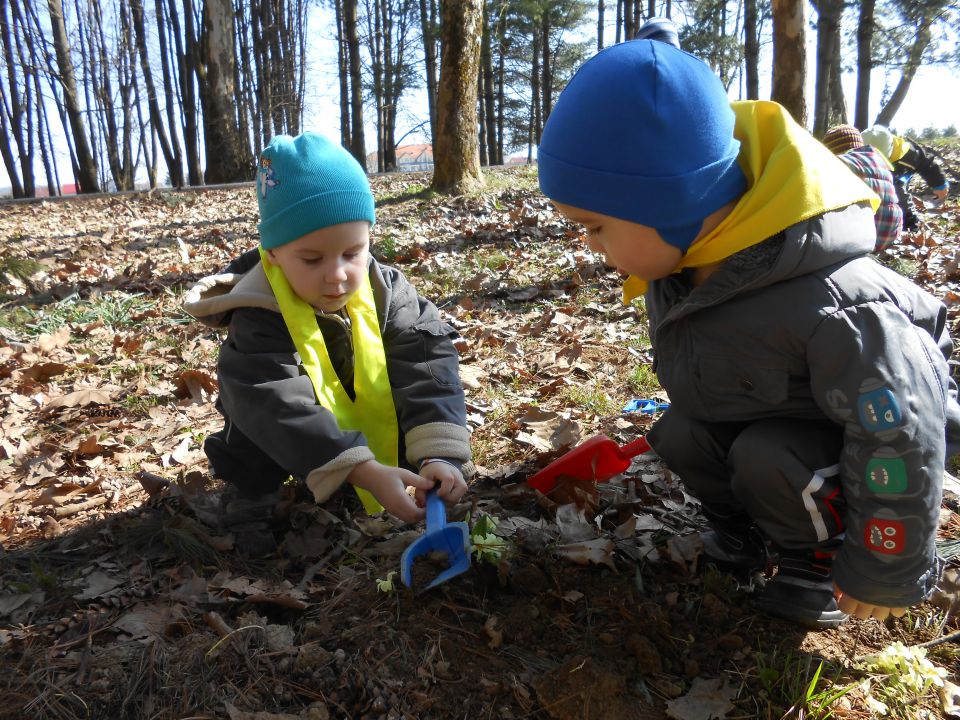 Modra igralnica, marec 2014 - foto povečava