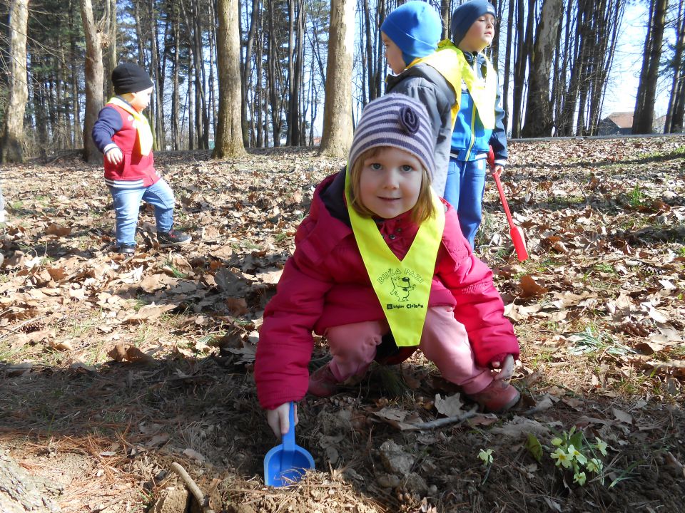 Modra igralnica, marec 2014 - foto povečava